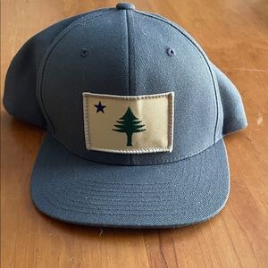 Gray Baseball Cap with Original Maine Patch
